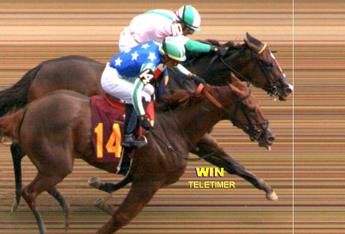 Photo Finishes Saratoga